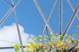 Cedar Lane Apartments | Playground
